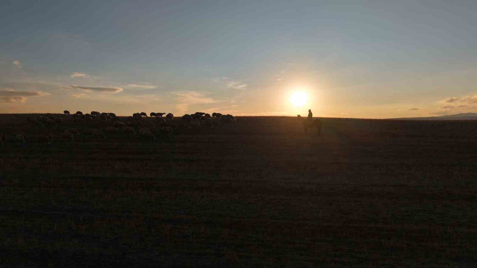 medya-dunyasindan-hayvanciliga-istanbul-stresini-birakip-koyde-huzuru-buldu