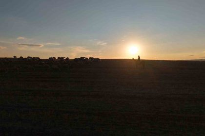 medya-dunyasindan-hayvanciliga-istanbul-stresini-birakip-koyde-huzuru-buldu