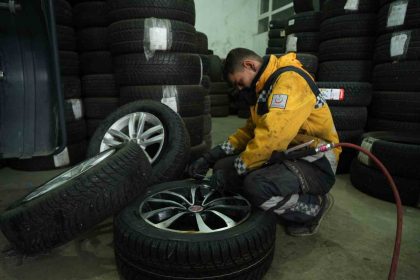musta-kopeklerin-saldirdigi-tavuk-oto-lastikciye-sigindi