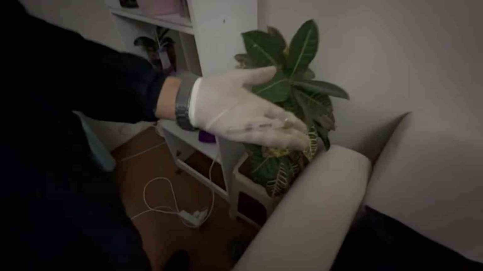 satisa-hazir-hale-getirilen-uyusturuculari-jandarma-yakaladi-1-tutuklama