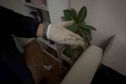 satisa-hazir-hale-getirilen-uyusturuculari-jandarma-yakaladi-1-tutuklama