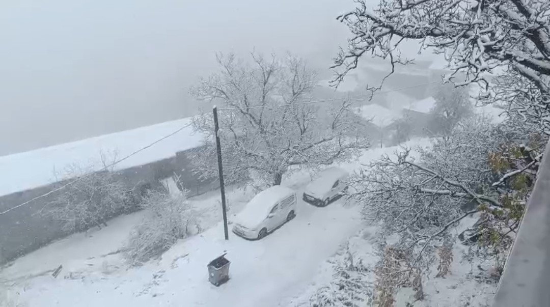 vanin-bahcesaray-ilcesinde-kar-etkili-oldu